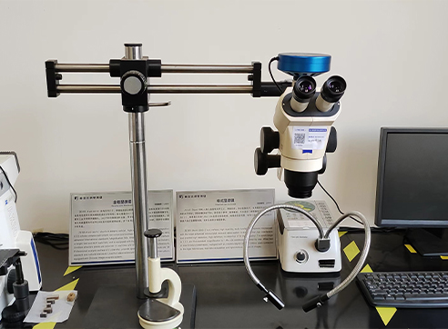 Stereo Microscope